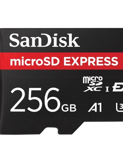 sandisk-express-card-microsd-256gb-v30-u3-c10-880mbs-r-650mbs-w-sdsqxfn-256g-gn4nn-619659202064-1-square_medium